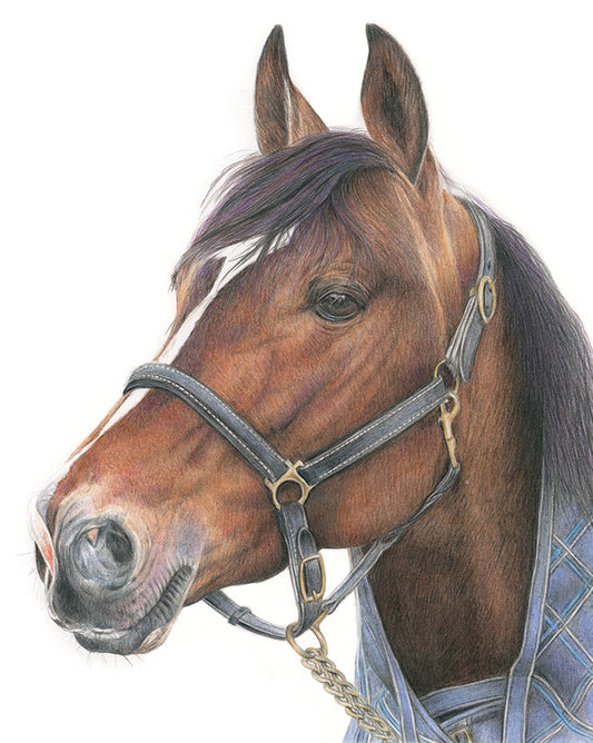 (Farm Animals) Horse