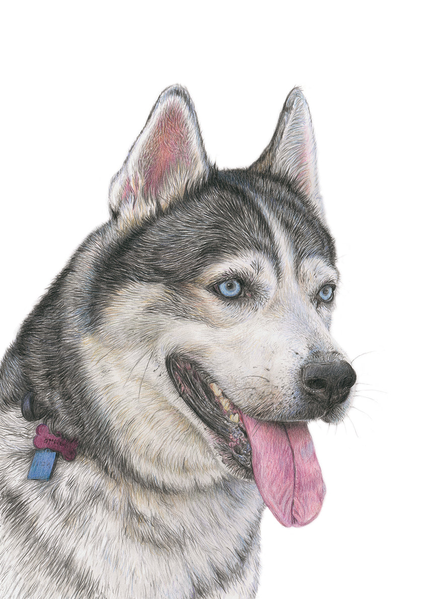 (Dogs) 'Husky' Fine Art Giclée Print