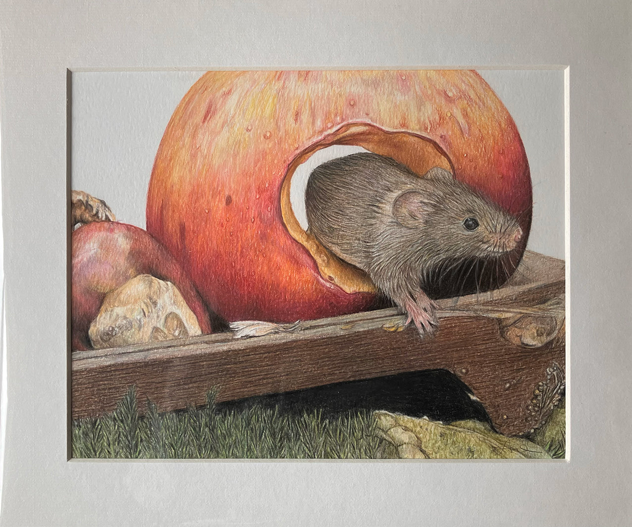 (Wildlife) Mouse 'Hide & Seek' Original Drawing