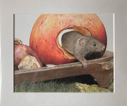 (Wildlife) Mouse 'Hide & Seek' Original Drawing