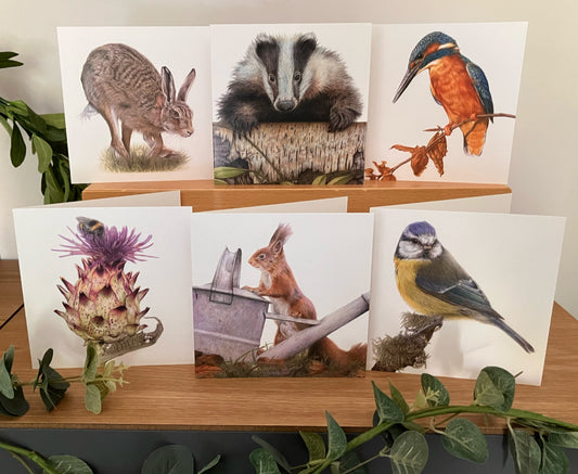 * NEW * 6 x Premium Wildlife Cards (Nature)