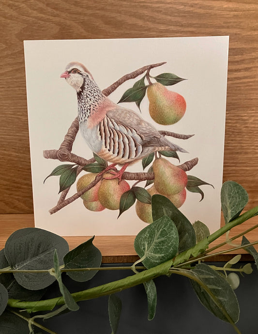 5 x Premium Partridge Christmas Cards