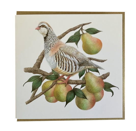 5 x Premium Partridge Christmas Cards