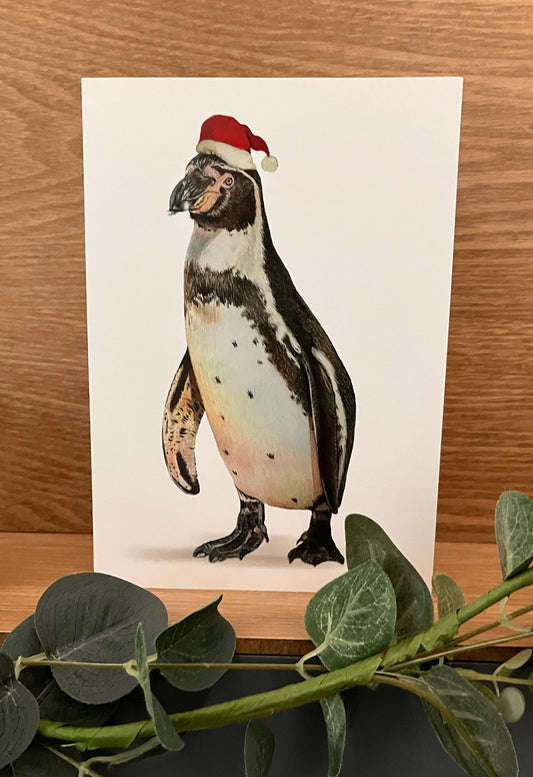 5 x Premium Penguin Christmas Cards (Reduced)