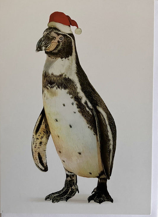5 x Premium Penguin Christmas Cards (Reduced)
