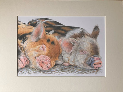 Three Little Pigs