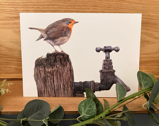 4 x Premium A5 'Morning Dew' (Robin) Cards