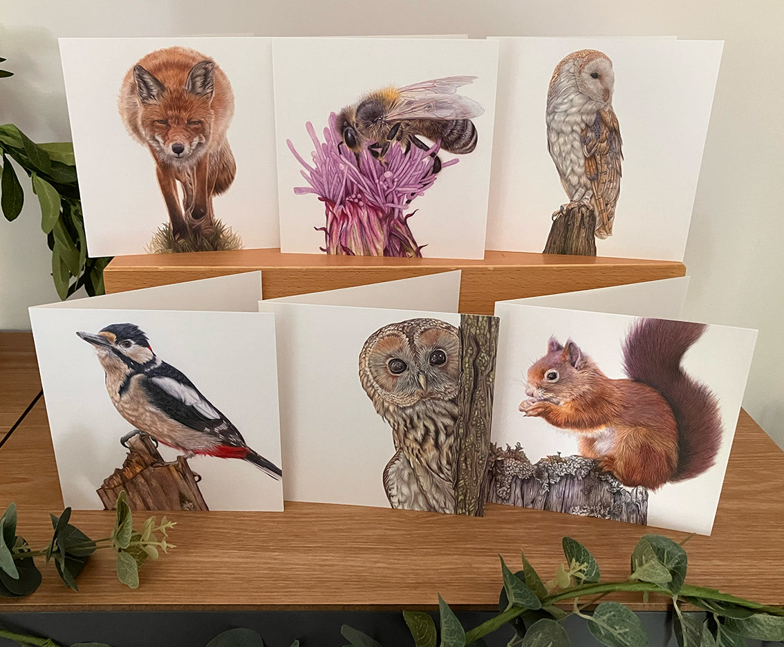6 x Premium Wildlife Cards (Woodland)