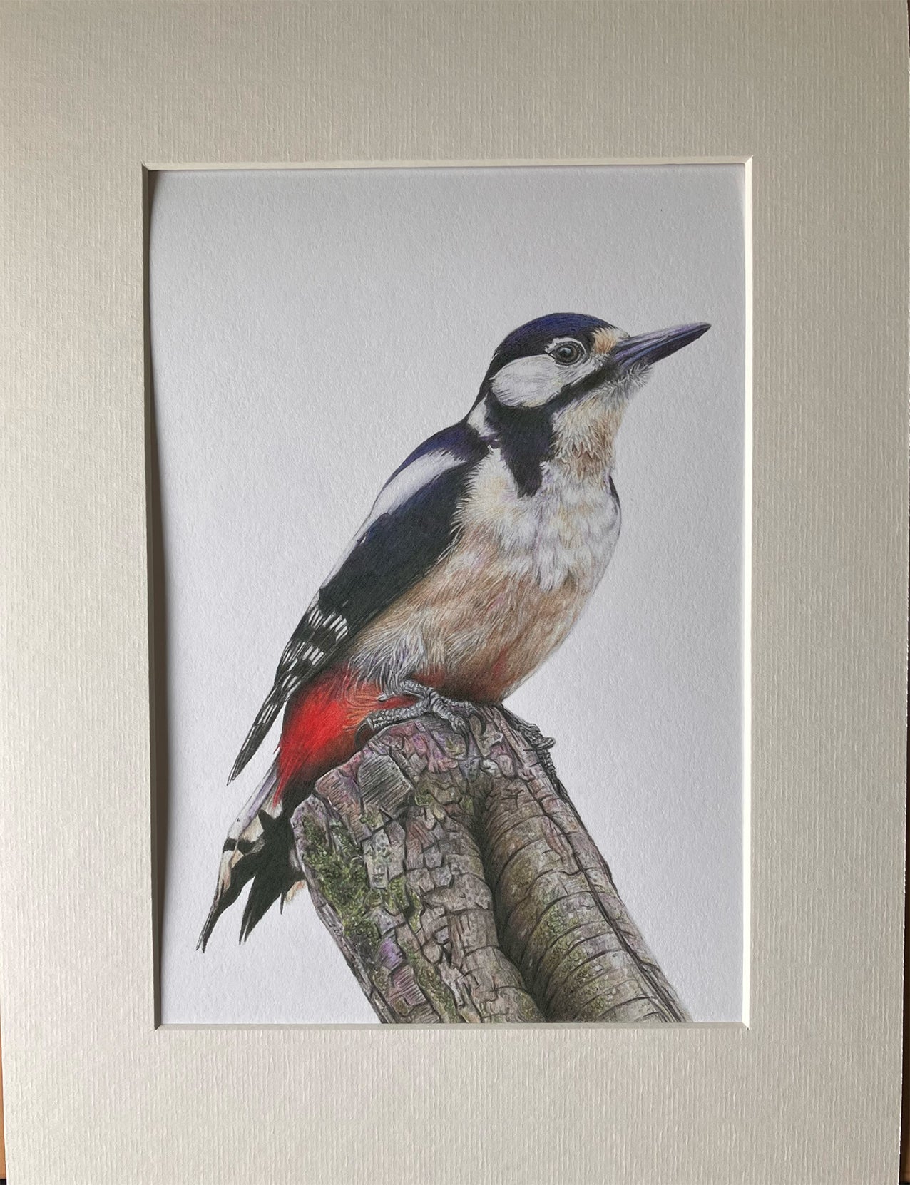(Wildlife) 'Wistful' (Woodpecker) * NEW *