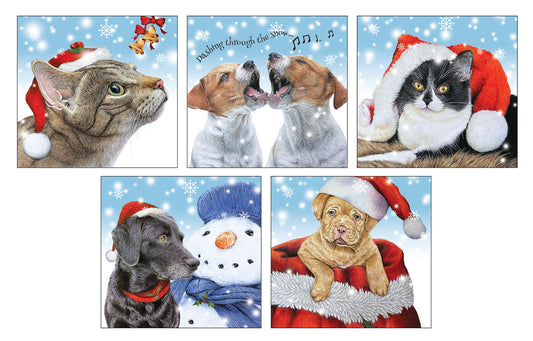 5 x Premium Cats & Dogs Christmas Cards